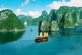Vietnam preserves and promotes Ha Long Bay - ảnh 2